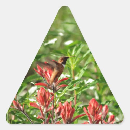 Hummingbird  bird red flower triangle sticker