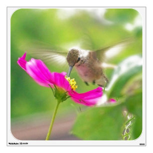 Hummingbird Bird Wall Decal