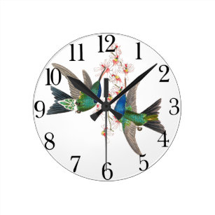 Tropical Birds Wall Clocks | Zazzle