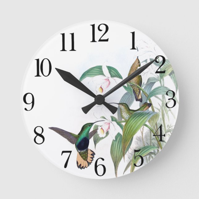 Hummingbird Bird Wildlife Animal Flower Wall Clock (Front)