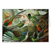 hummingbird bird wildlife classic painting (Front Horizontal)
