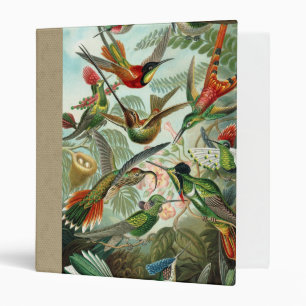 hummingbird bird wildlife classic painting 3 ring binder