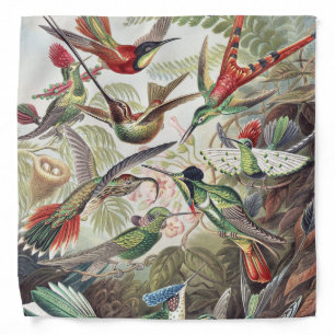 Hummingbird Bird Wildlife Classic Painting Bandana
