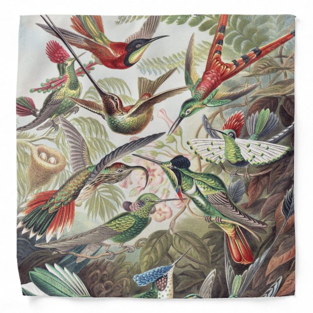 Hummingbird Bird Wildlife Classic Painting Bandana (Front)