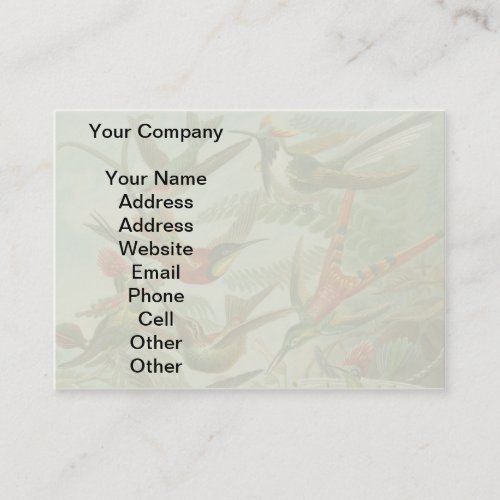 Vintage hummingbirds scientific illustration business card template
