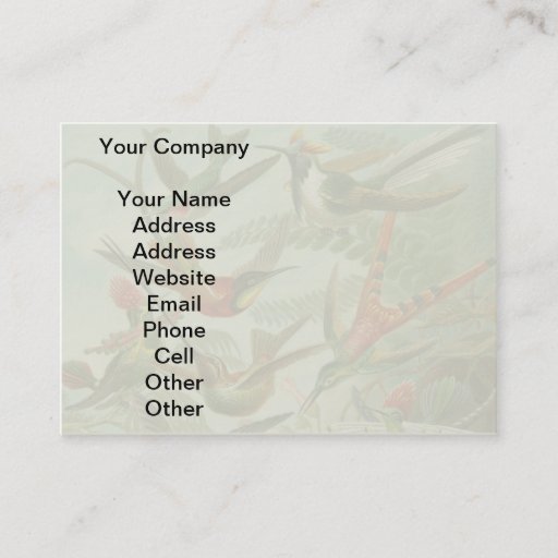 Customizable Vintage hummingbirds scientific illustration business card template