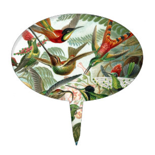hummingbird bird wildlife classic painting cake topper