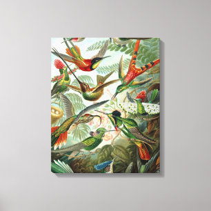 hummingbird bird wildlife classic painting canvas print