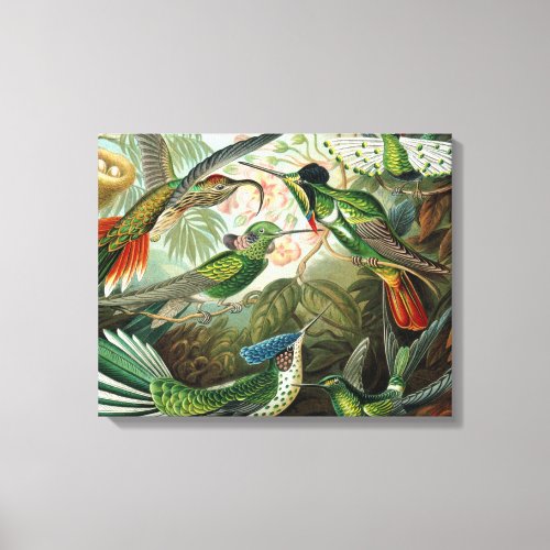 hummingbird bird wildlife classic painting canvas print