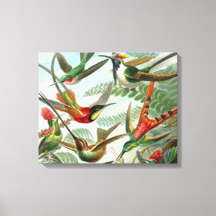 hummingbird bird wildlife classic painting canvas print