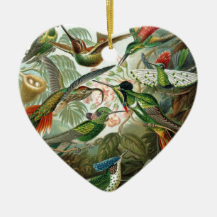 hummingbird bird wildlife classic painting ceramic ornament