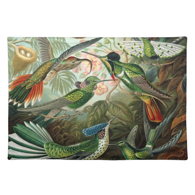 hummingbird bird wildlife classic painting cloth placemat (Front)