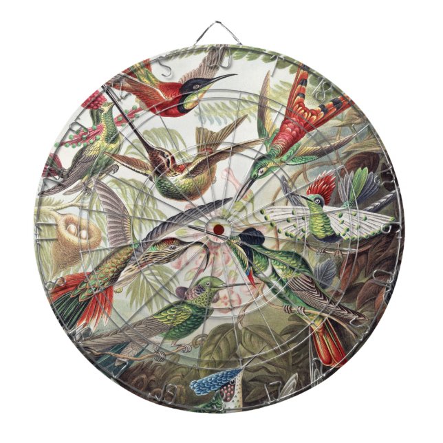 Hummingbird Bird Wildlife Classic Painting Dart Board (Front)