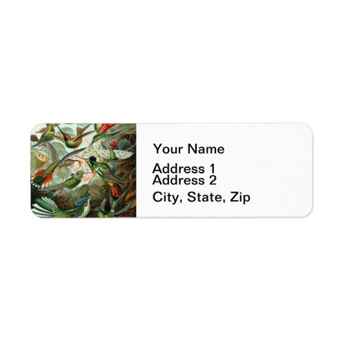 hummingbird bird wildlife classic painting label