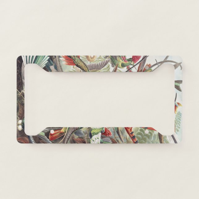 Hummingbird Bird Wildlife Classic Painting License Plate Frame (Front)