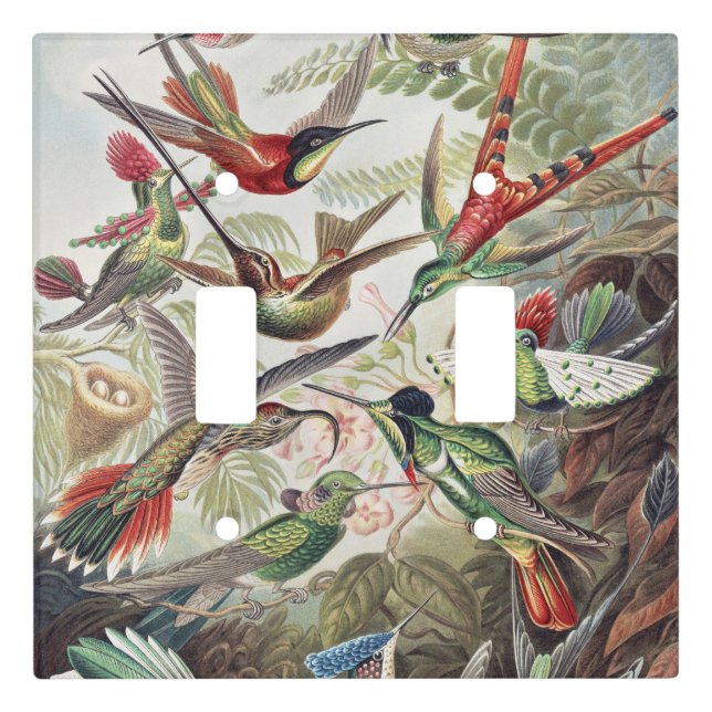 Hummingbird Bird Wildlife Classic Painting Light Switch Cover (Front)