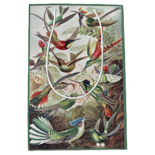 Hummingbird Bird Wildlife Classic Painting Medium Gift Bag