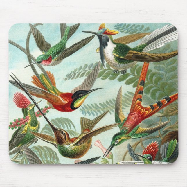 hummingbird bird wildlife classic painting mouse pad (Front)