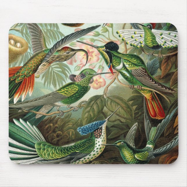 hummingbird bird wildlife classic painting mouse pad (Front)