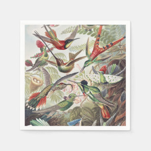 Hummingbird Bird Wildlife Classic Painting Napkins