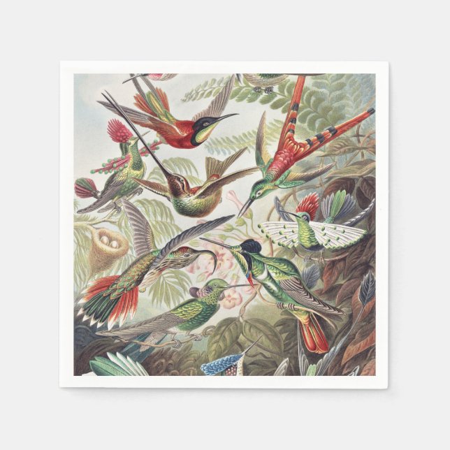 Hummingbird Bird Wildlife Classic Painting Napkins (Front)