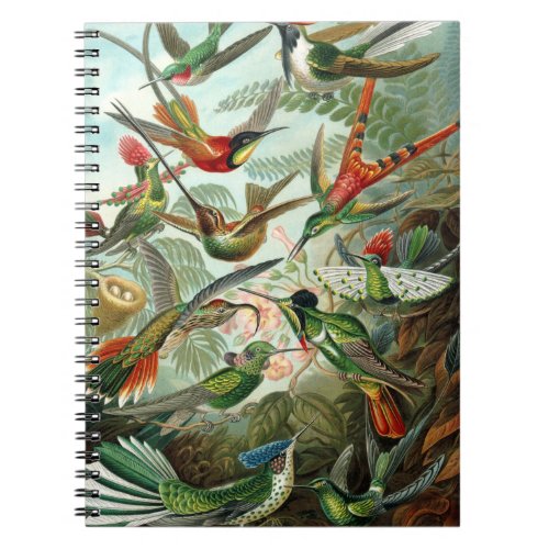 hummingbird bird wildlife classic painting notebook