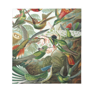 hummingbird bird wildlife classic painting notepad