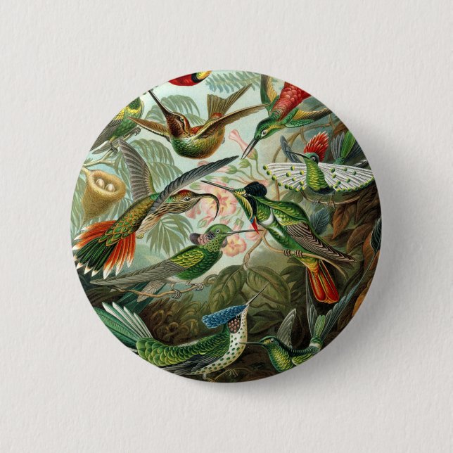 hummingbird bird wildlife classic painting pinback button (Front)
