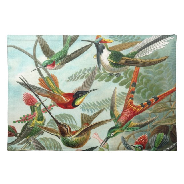 hummingbird bird wildlife classic painting placemat (Front)