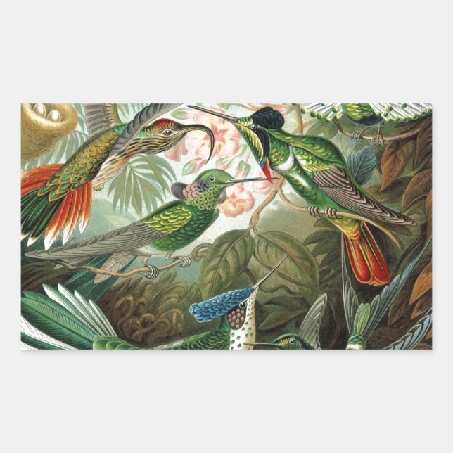 hummingbird bird wildlife classic painting rectangular sticker (Front)