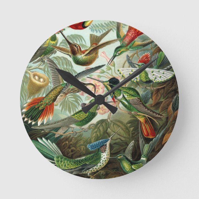 hummingbird bird wildlife classic painting round clock (Front)
