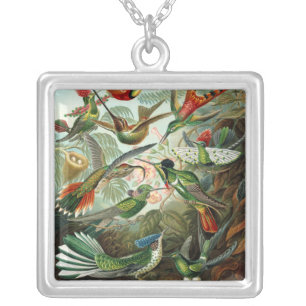 hummingbird bird wildlife classic painting silver plated necklace