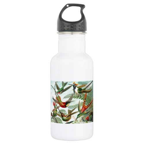 hummingbird bird wildlife classic painting stainless steel water bottle