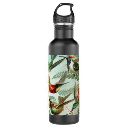 hummingbird bird wildlife classic painting stainless steel water bottle