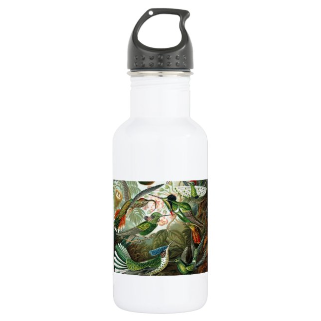 hummingbird bird wildlife classic painting stainless steel water bottle (Front)