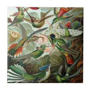 hummingbird bird wildlife classic painting tile