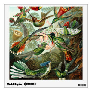 hummingbird bird wildlife classic painting wall sticker