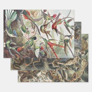 Hummingbird Bird Wildlife Classic Painting Wrapping Paper Sheets