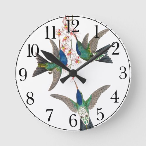 Hummingbird Bird Wildlife Floral Wall Clock