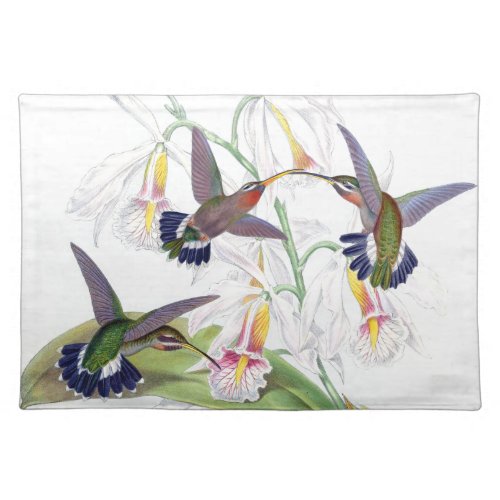 Hummingbird Birds Animals Wildlife Gould Placemat