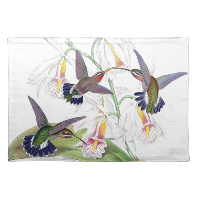Hummingbird Birds Animals Wildlife Gould Placemat (Front)