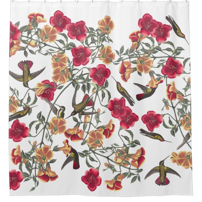 Hummingbird Birds Audubon Floral Shower Curtain (Front)