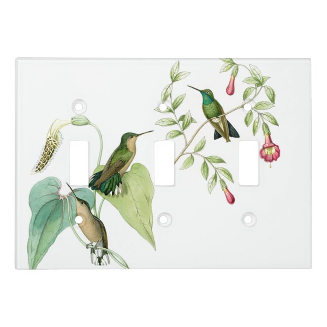 Hummingbird Birds & Floral Flowers Light Switch Cover (Front)