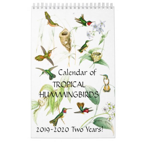 Hummingbird Birds Flower Animal 2019 2020 Calendar