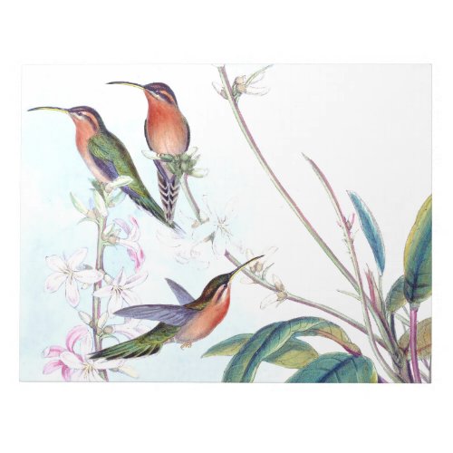 Hummingbird Birds Flower Floral Wildlife Notepad