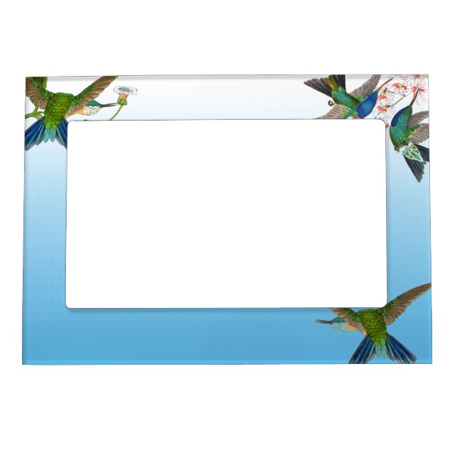 Hummingbird Birds Flowers Animals Magnetic Frame (Front)