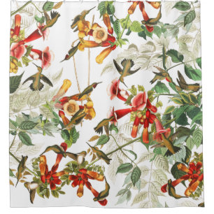 Hummingbird Birds Flowers Audubon Shower Curtain