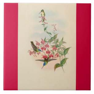 Hummingbird Birds Flowers Floral Animals Wildlife Ceramic Tile