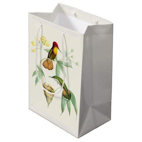 Hummingbird Birds Flowers Floral Nest Gift Bag
