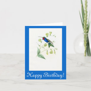 Hummingbird Birds Flowers Floral Wildlife Animals Card